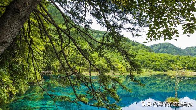 :九寨溝是什么地方？九寨溝在什么地方？